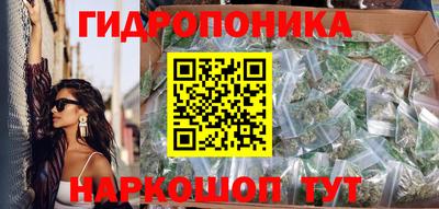 индика Балахна