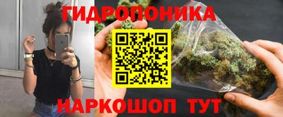 индика Балахна