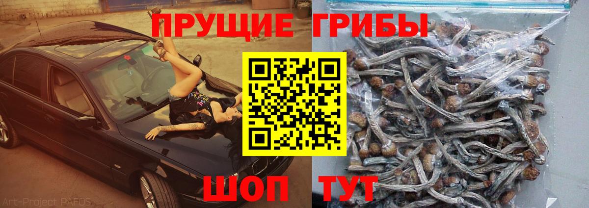 Гусиноозёрск  Псилоцибиновые грибы Magic Shrooms  Вход с VPN 